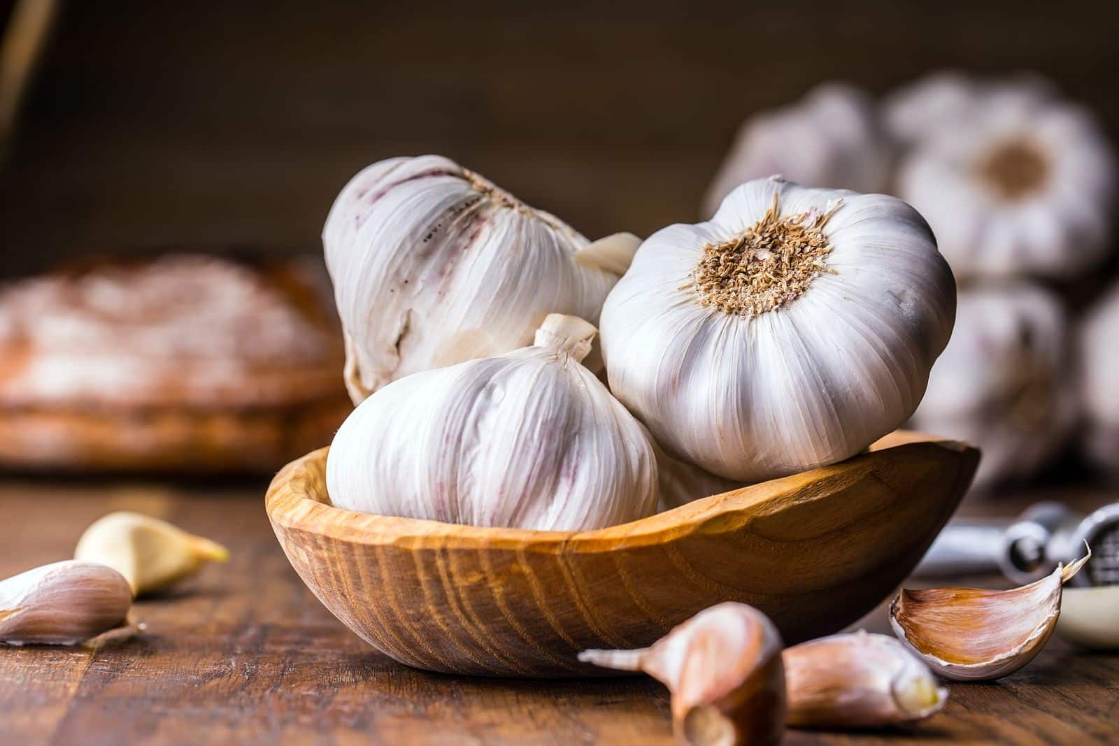 antibióticos naturales 