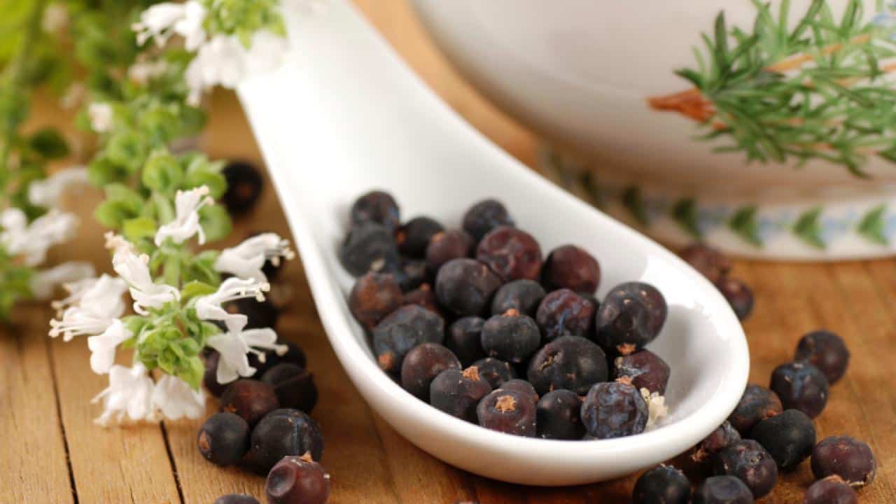 antibióticos naturales 