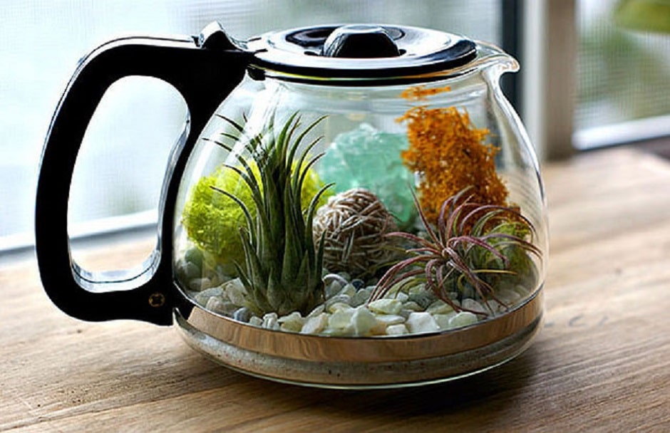 Cómo hacer un terrario