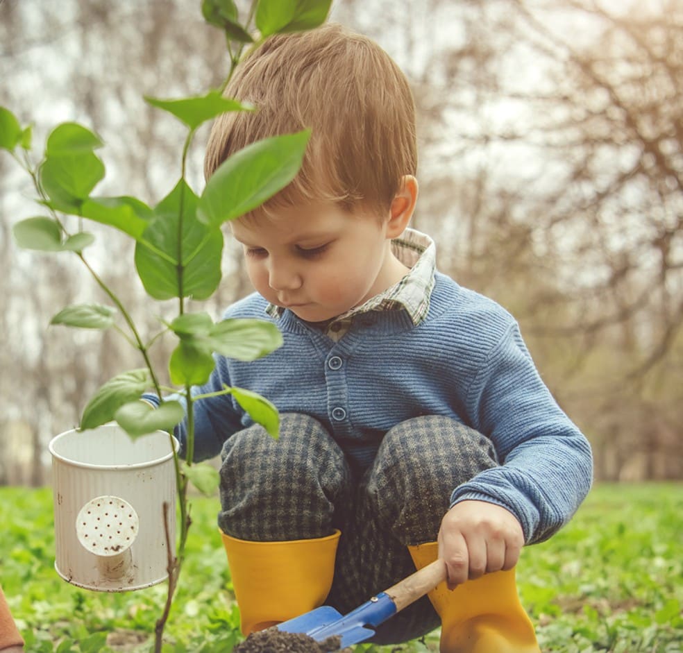 cómo cuidar el medio ambiente