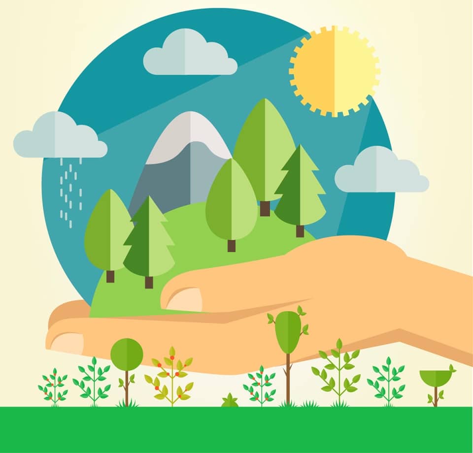 cómo cuidar del medio ambiente.