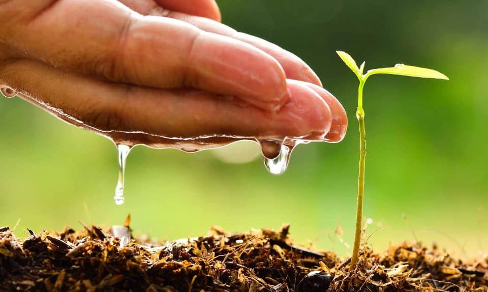 cómo cuidar el medio ambiente