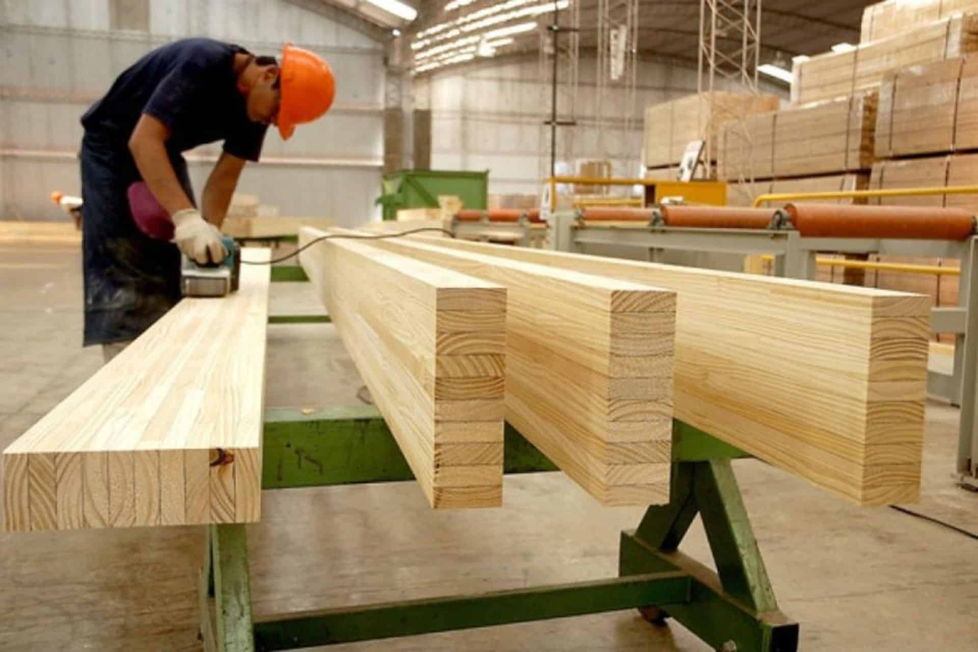 causas de la deforestación
