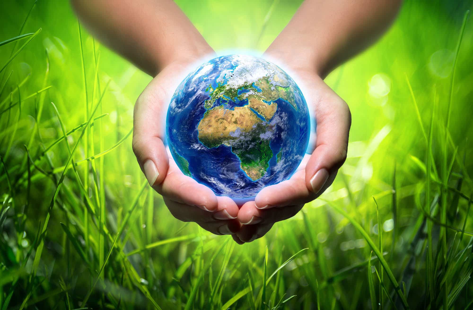 Derecho ecológico