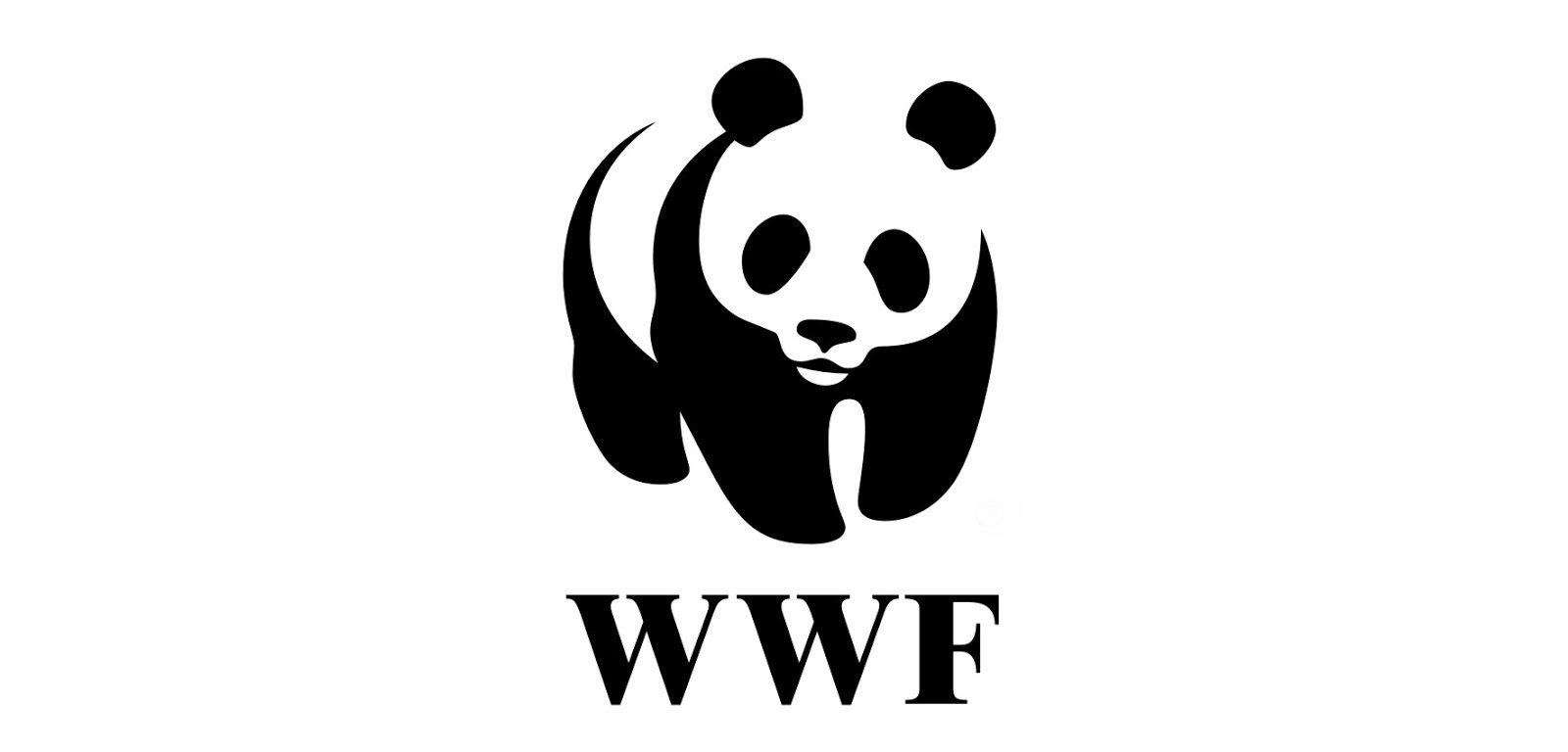 Oso Panda en Peligro de Extinción