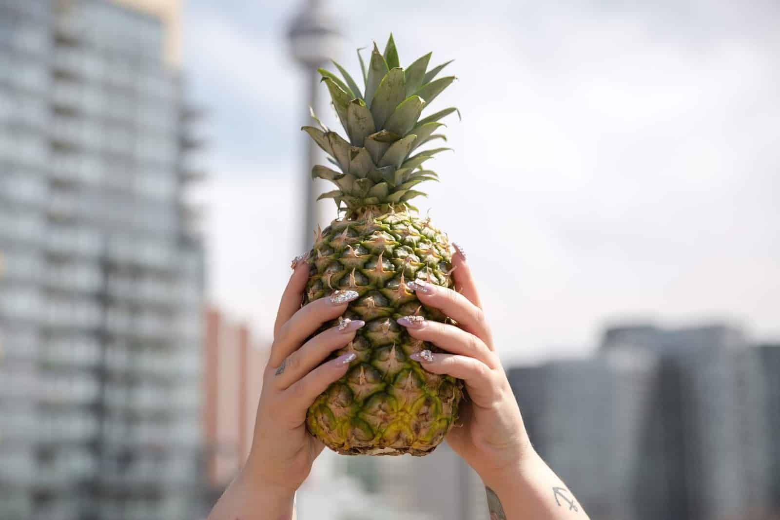 PLANTAR PIÑA