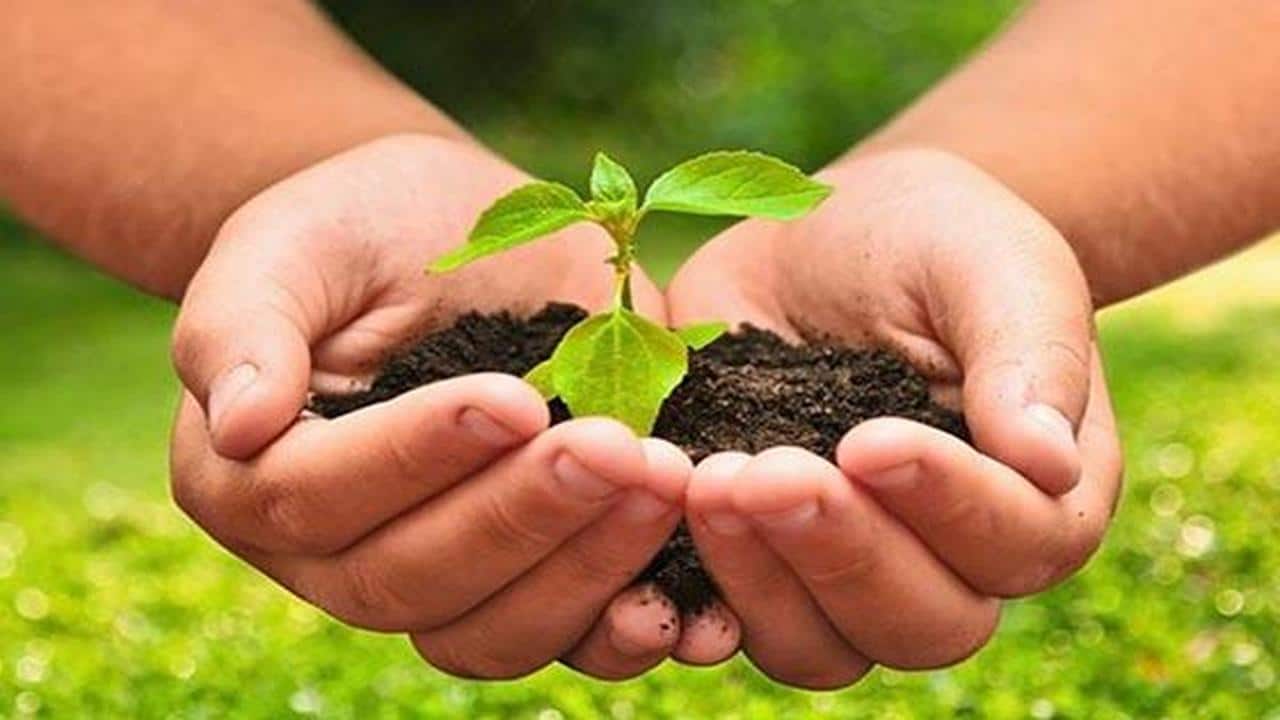 Qué es la Agroecología