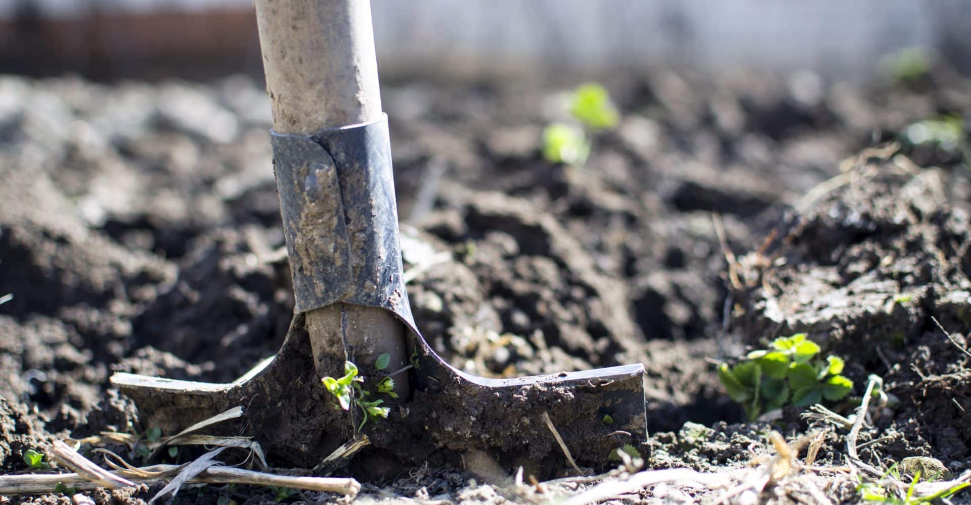Qué es la Agroecología