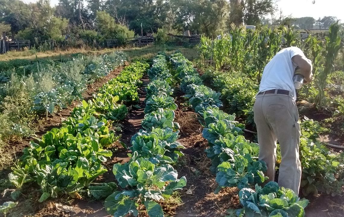 Qué es la Agroecología