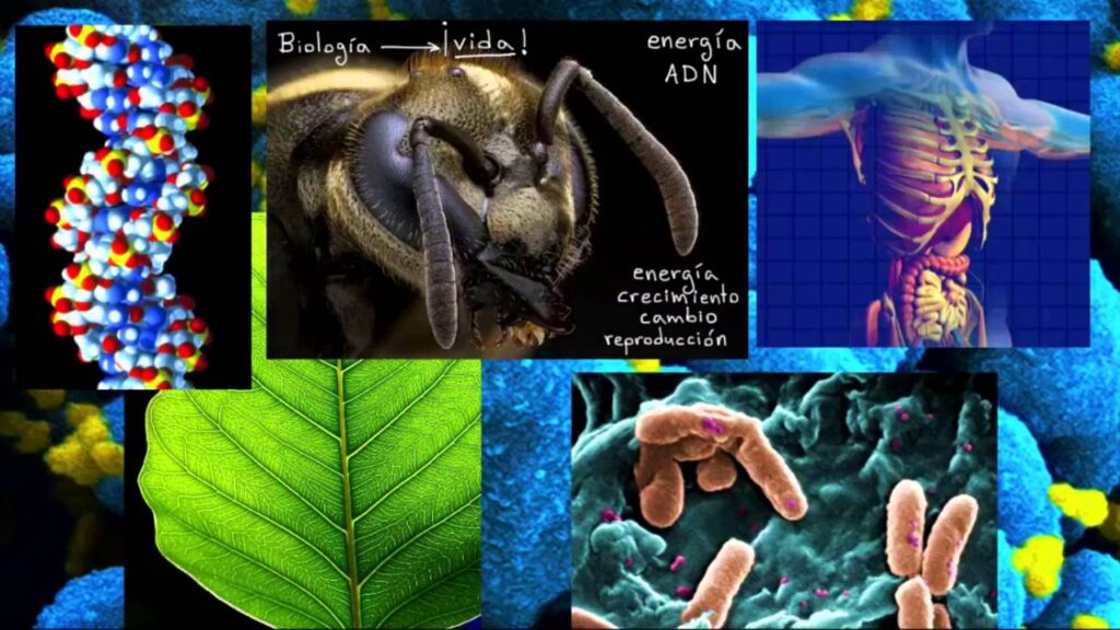 Ramas de la biología