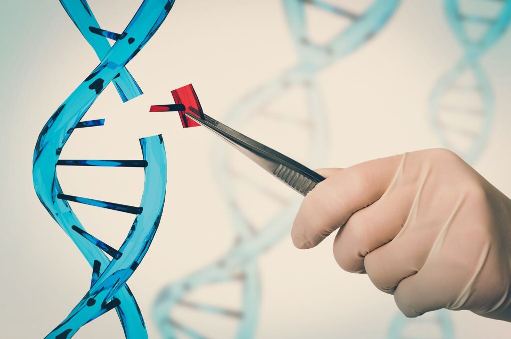 Ramas de la biología
