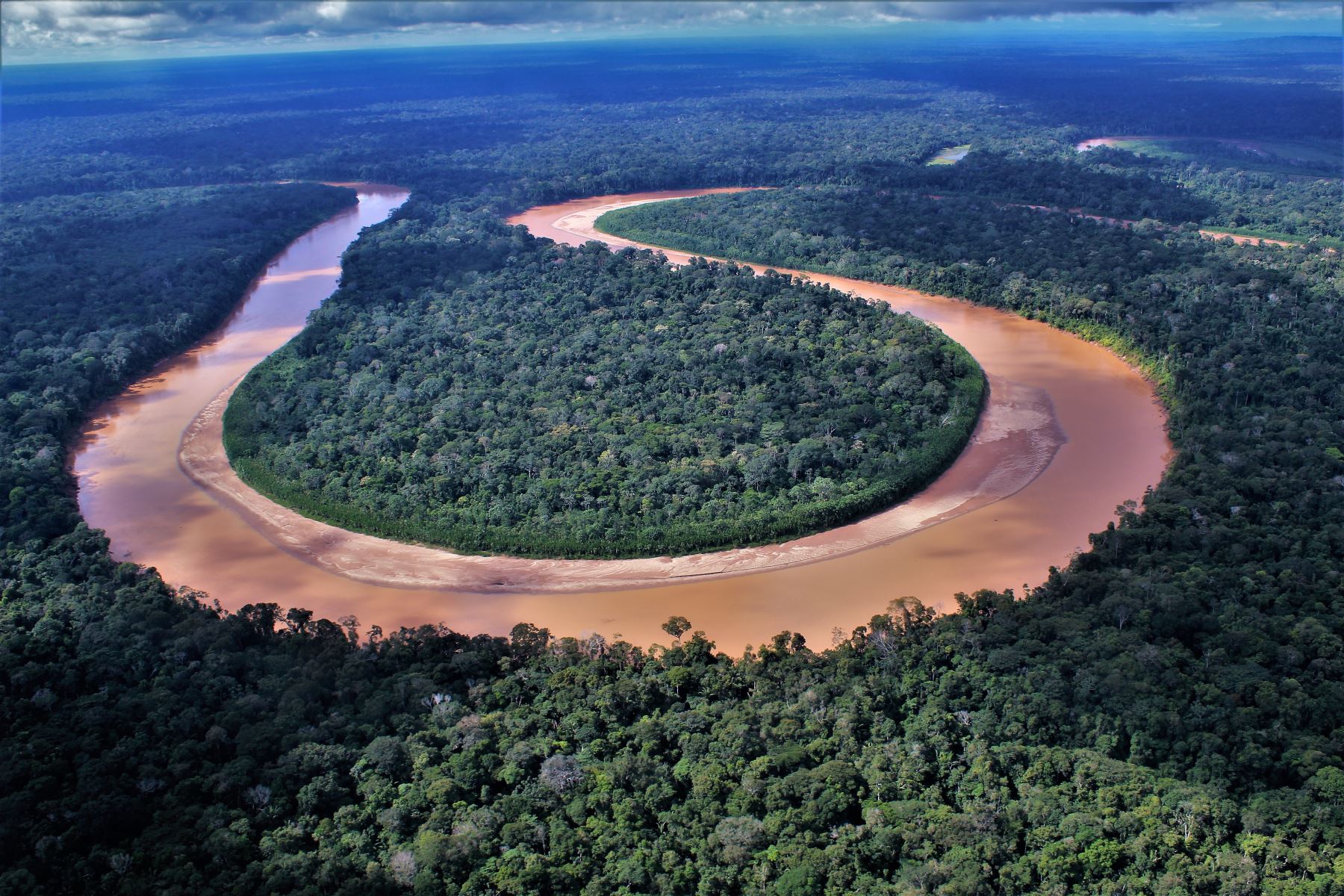 Tala de Árboles