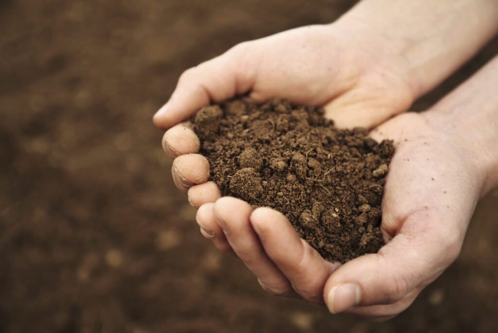 tipos de contaminación del suelo