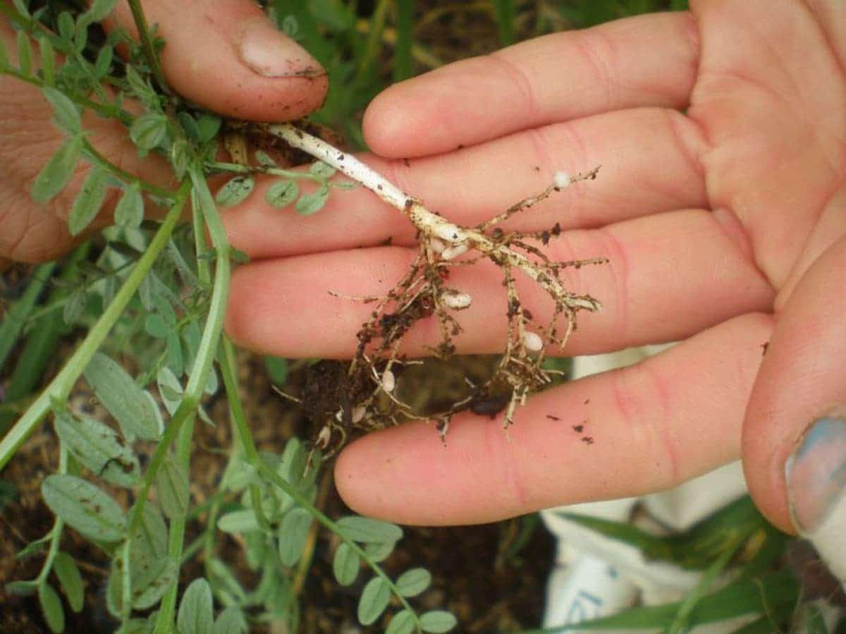 conservación de los suelos