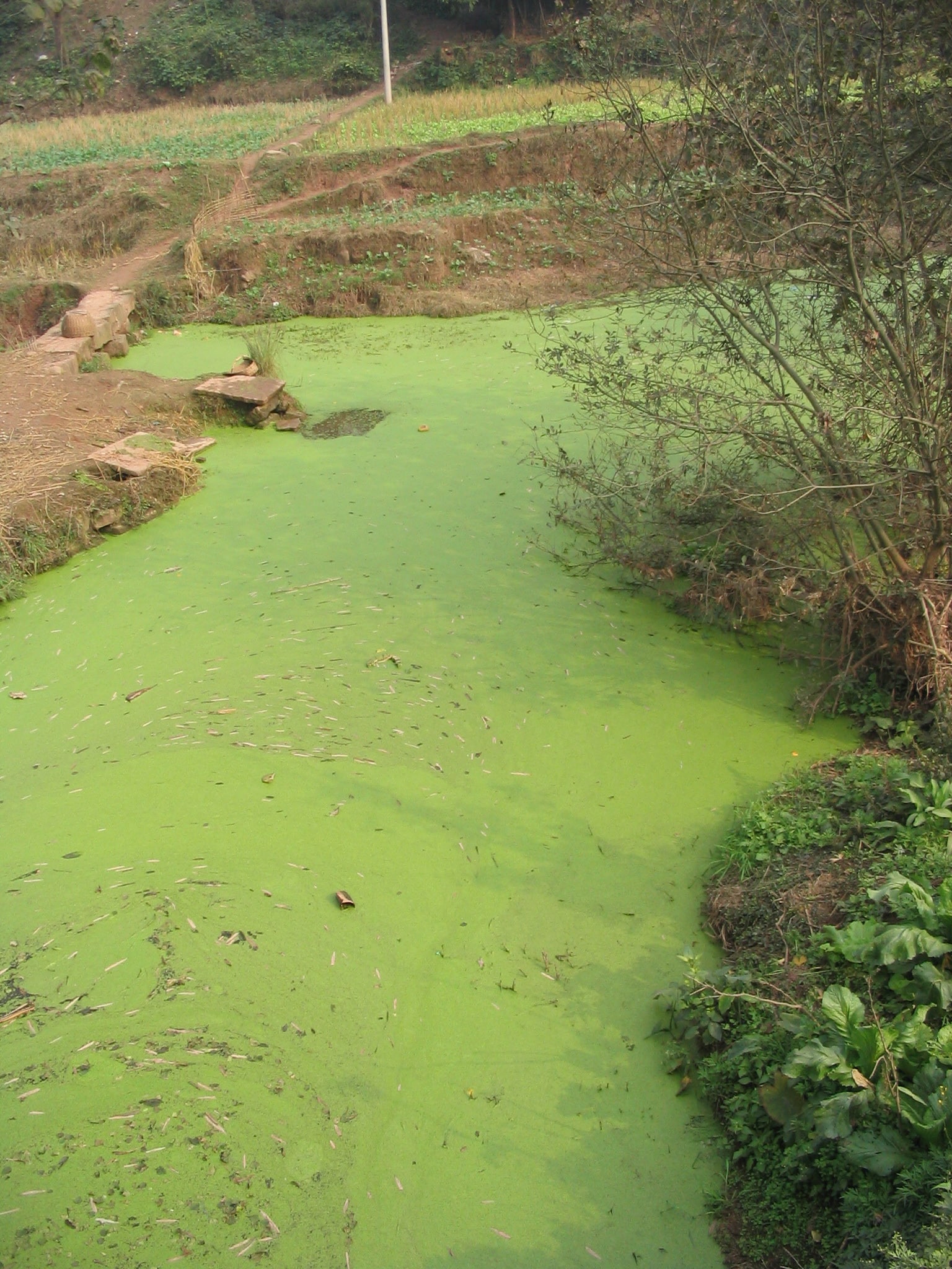 CONTAMINACIÓN DE RÍOS