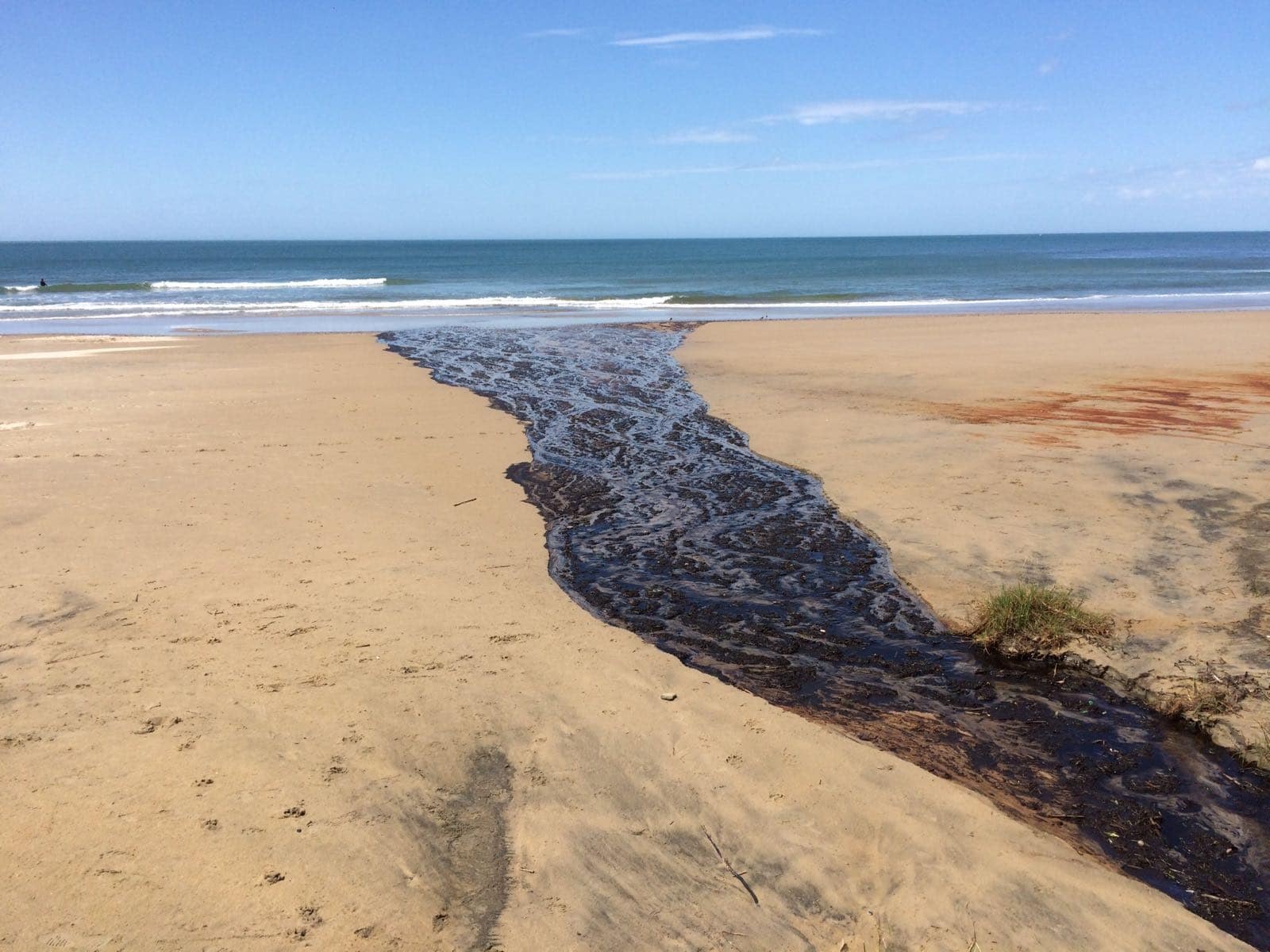 contaminación de playas