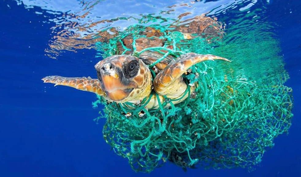 contaminación del mar