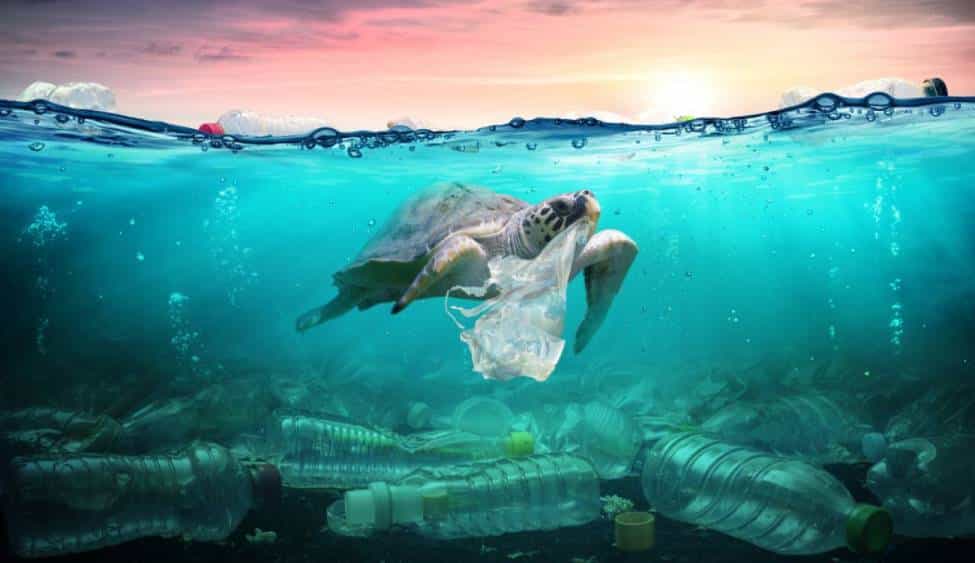 contaminación del mar