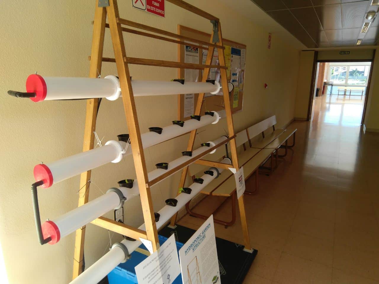 CULTIVO HIDROPÓNICO