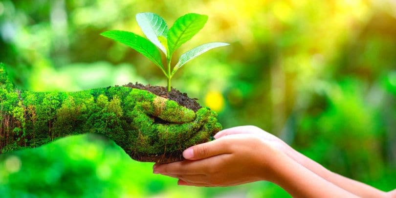ecologia y medio ambiente