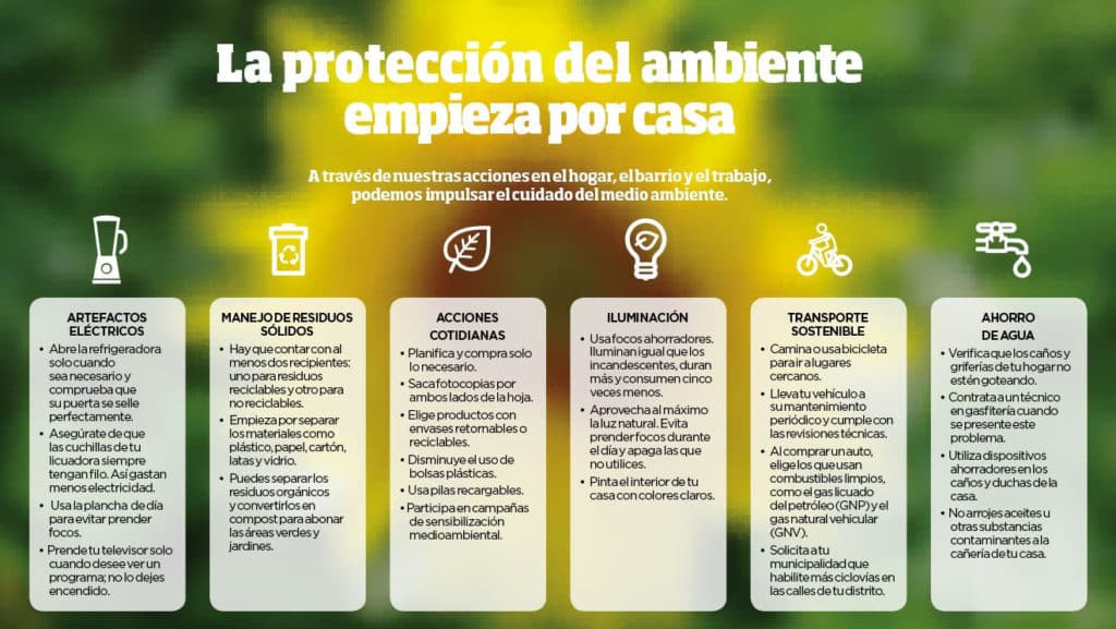 ecologia y medio ambiente