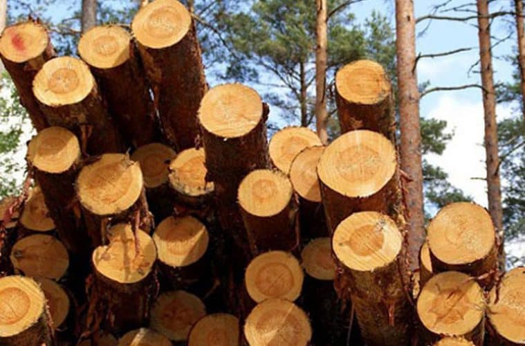 Historia de la ecología