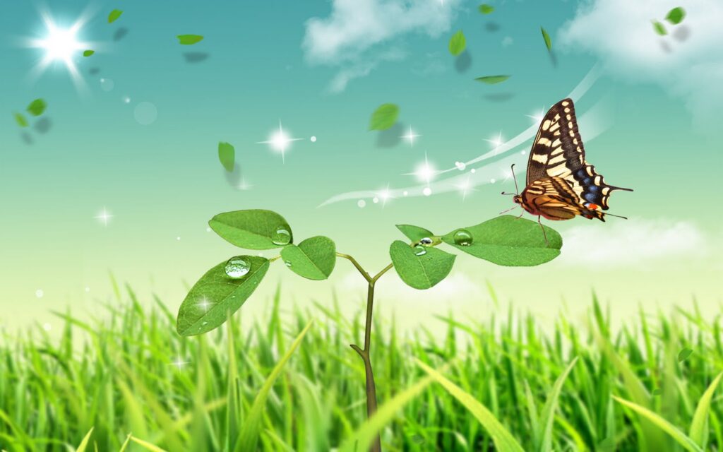 Historia de la ecología