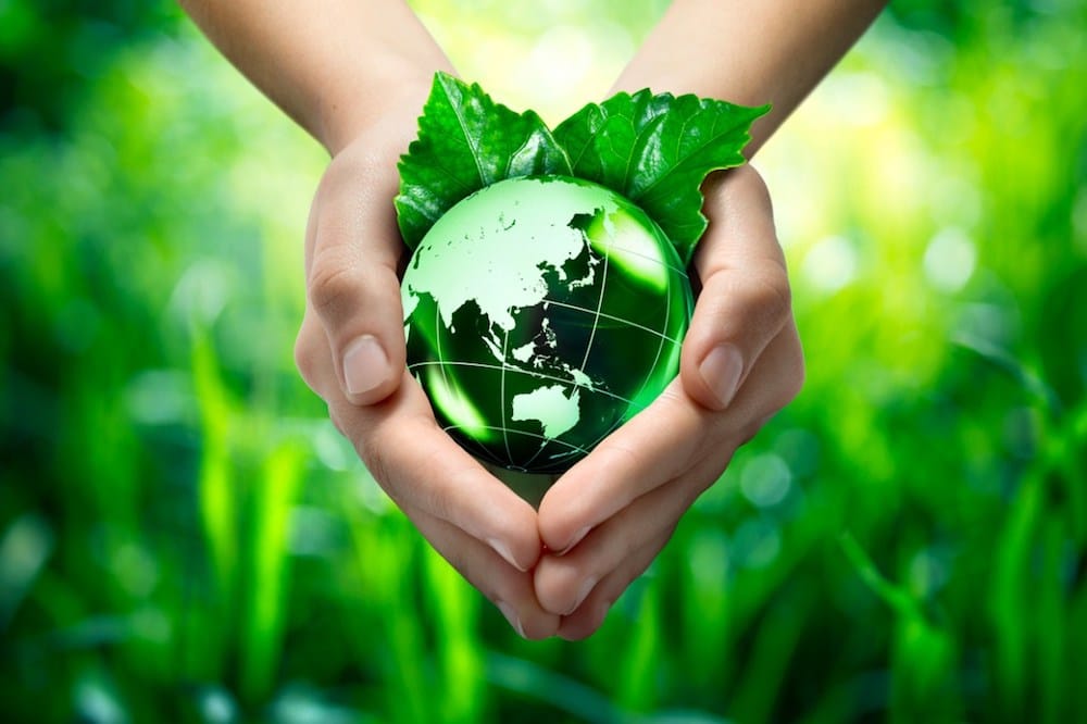 Historia de la ecología