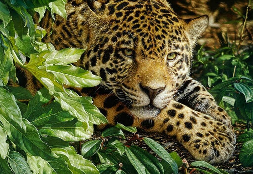 Historia de la ecología
