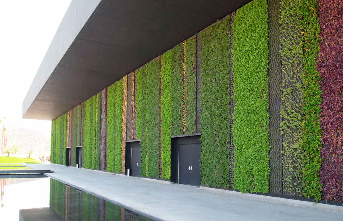 jardín vertical