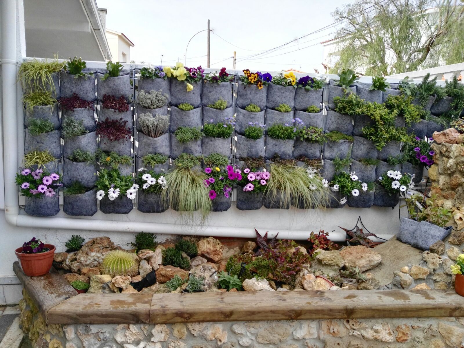 jardín vertical