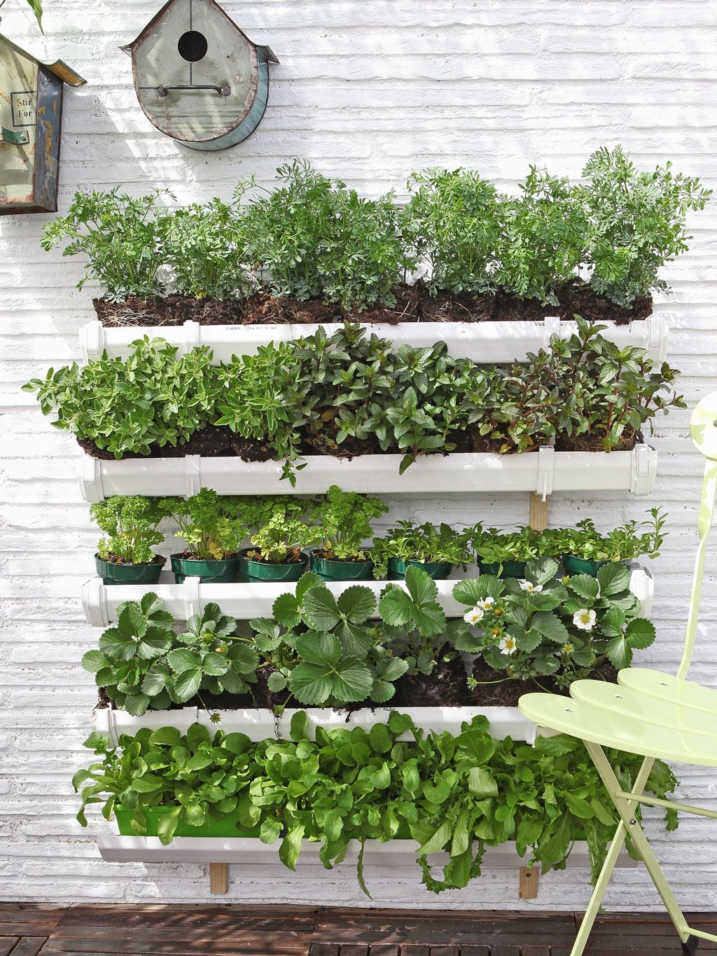 jardín vertical 