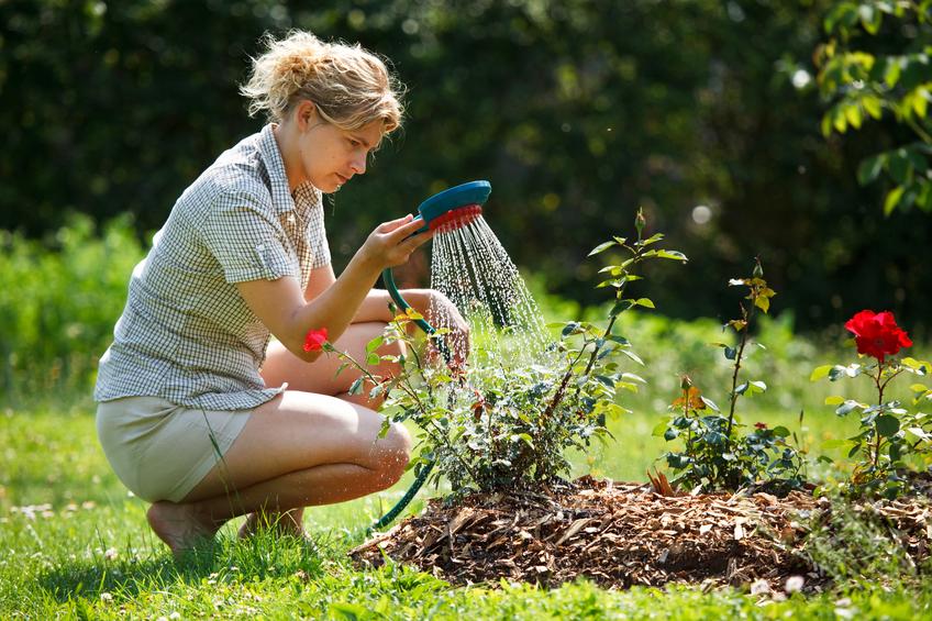 Jardines pequeños
