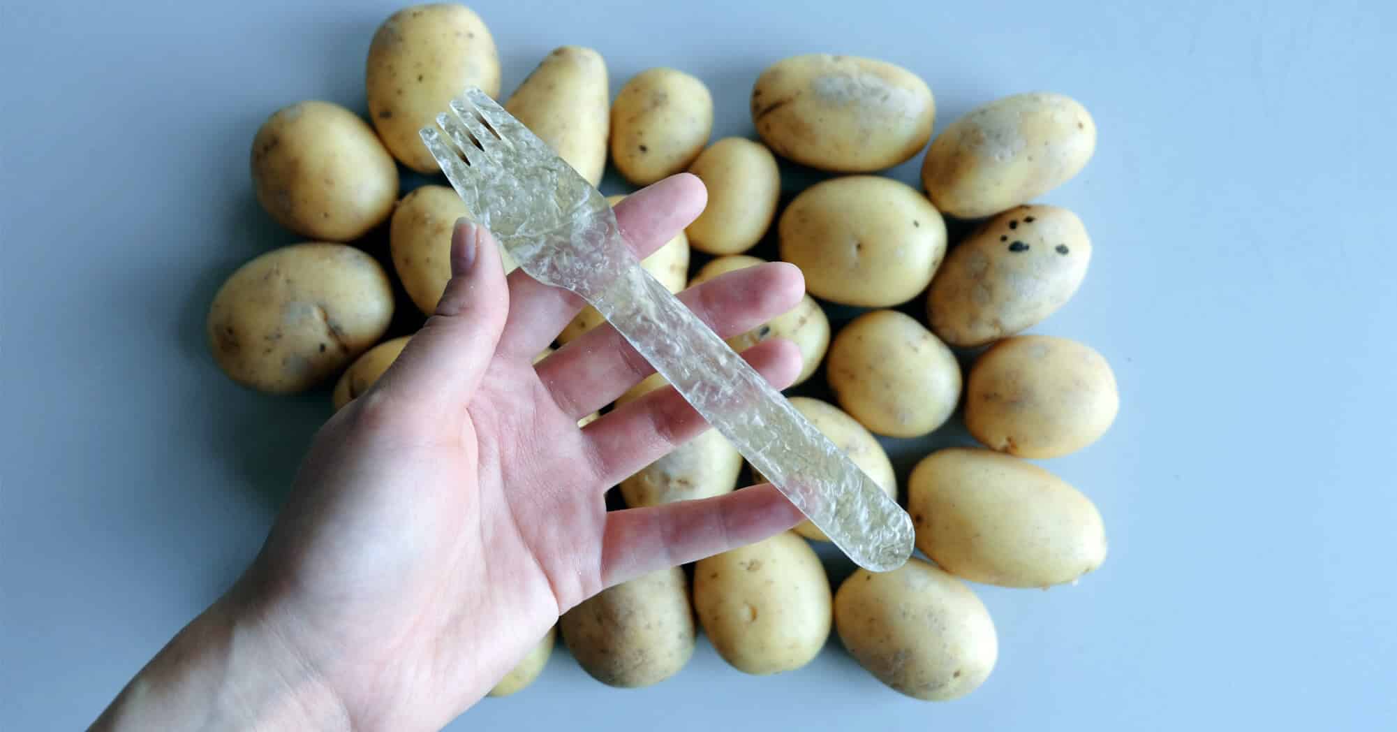 plásticos biodegradables
