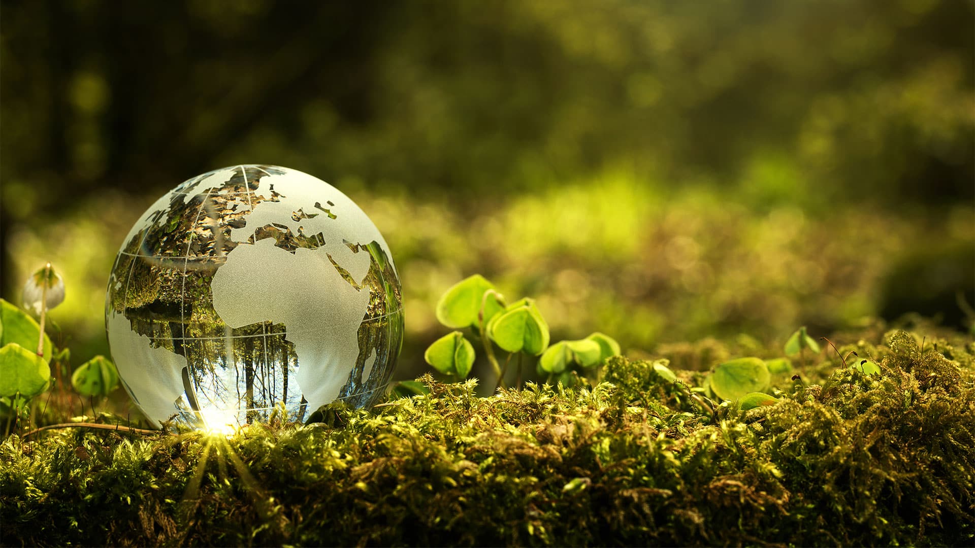 Política ambiental