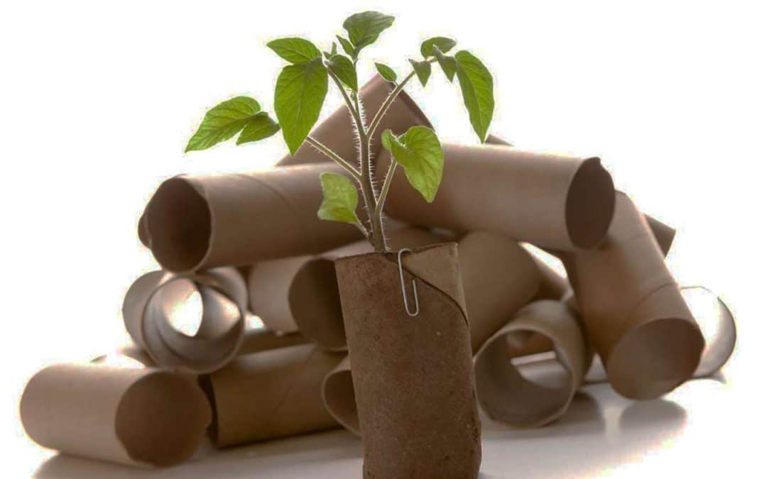 Reciclaje de papel y cartón