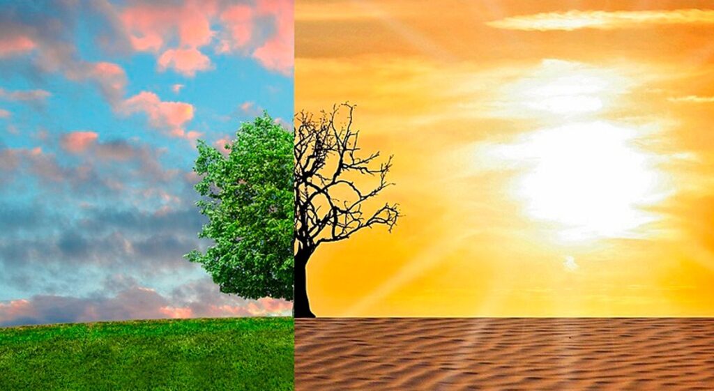 Transformación de la naturaleza
